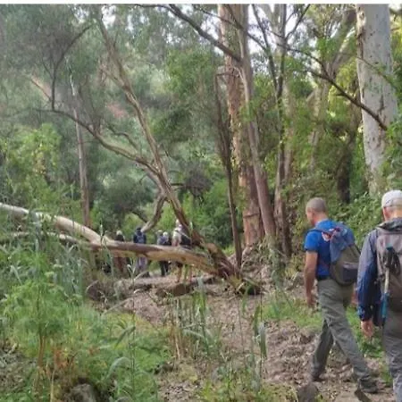 Yaki Lejlighed Arucas