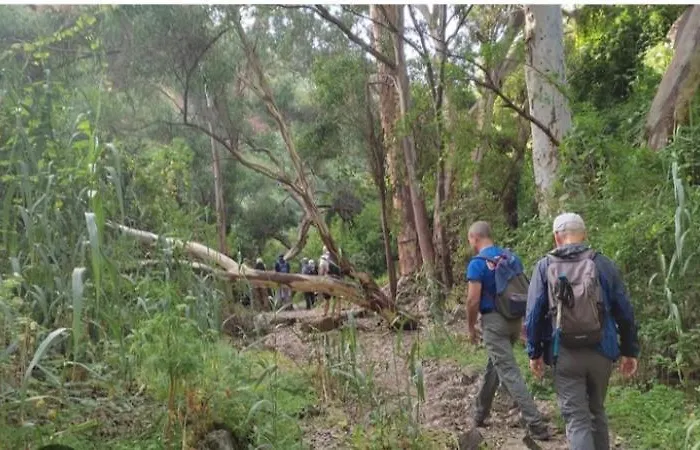 Yaki Apartamento Arucas